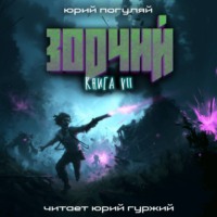 . Зодчий. Книга VII