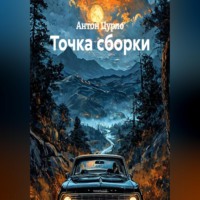 Антон Цурло. Точка сборки