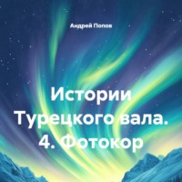 Андрей Васильевич Попов. Истории Турецкого вала. 4. Фотокор