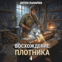 Антон Панарин. Восхождение плотника. Том 4