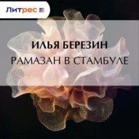Илья Березин. Рамазан в Стамбуле