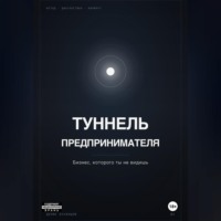 Денис Буханцов. ТУННЕЛЬ ПРЕДПРИНИМАТЕЛЯ. Бизнес, который ты не видишь