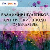 Владимир Михайлович Шулятиков. Критические этюды (о Бердяеве)