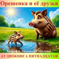 Андрей и Людмила Соболевы.. Орешенка и её друзья. Аудиокнига пятнадцатая. Читает автор