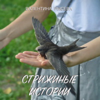 . Стрижиные истории