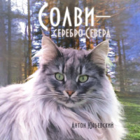 Антон Юрьевский. Солви – серебро Севера