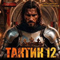 Сергей Шиленко. Тактик 12