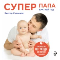 Виктор Кузнецов. Супер Папа: краткий гид