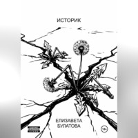 Елизавета Булатова. Историк