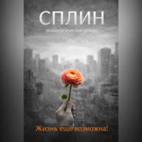 . Сплин