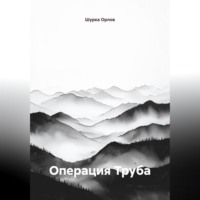 Шурка Орлов. Операция 
