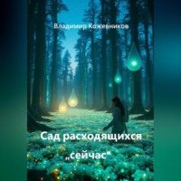 Владимир Кожевников. Сад расходящихся 