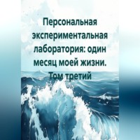 Мария Александровна Виниченко. Персональная экспериментальная лаборатория: один месяц моей жизни. Том третий