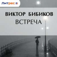 Виктор Иванович Бибиков. Встреча