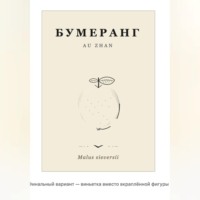 Ау Жан. Бумеранг