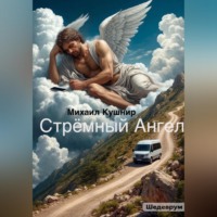 Михаил Кушнир. Стрёмный Ангел