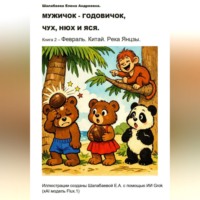 . Книга 2 - Февраль. Китай.