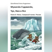 . Книга 6 - Июнь. Северный полюс. Россия.