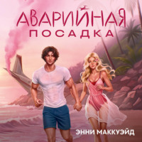 . Аварийная посадка
