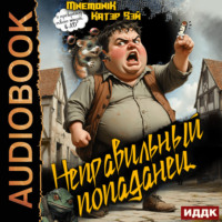 Катэр Вэй. Неправильный попаданец. Книга 1