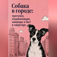 Анна Бережина. Собака в городе: прогулки, социализация, команды и быт в квартире