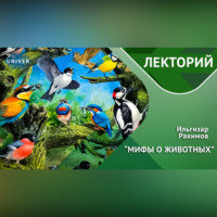 Ильгизар Рахимов. ПТИЦЫ / вы точно этого не знали