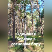 Наталья Первухина. Одинокая березка в сосновом бору