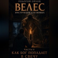 Родогой Орлов. ВЕЛЕС - инструкция для живых. Часть 2. КАК БОГ ПОПАДАЕТ В СВЕЧУ