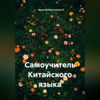 Василий Мантуленко. Самоучитель Китайского языка