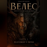 Родогой Орлов. ВЕЛЕС - инструкция для живых. Часть 3. Разговор у печи