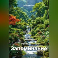 Евгений Викулов. Запоминание