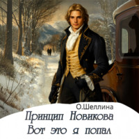 О.Шеллина (shellina). Принцип Новикова. Вот это я попал