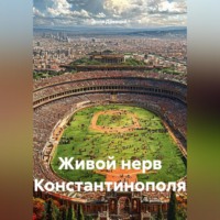 Коля Древний. Живой нерв Константинополя