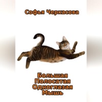 Софья Решетникова. Большая Полосатая Одноглазая Мышь