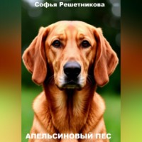 Софья Решетникова. Апельсиновый пёс