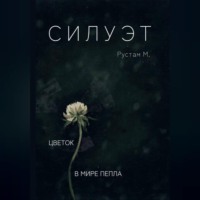 Рустам М.. Силуэт