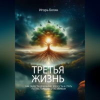 Игорь Богин. ТРЕТЬЯ ЖИЗНЬ. КАК ОБРЕСТИ ДУХОВНУЮ ЗРЕЛОСТЬ И СТАТЬ ПО-НАСТОЯЩЕМУ СЧАСТЛИВЫМ