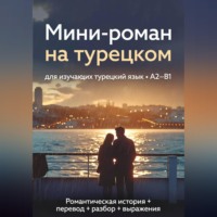 Просто лингвист. Мини-роман на турецком