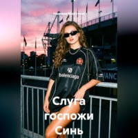 . Слуга госпожи Синь