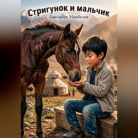 . Стригунок и мальчик
