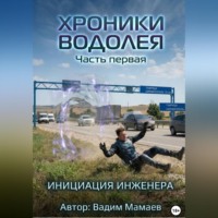 Вадим Мамаев. Хроники Водолея. Часть 1. Инициация инженера
