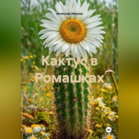 Вячеслав Иванов. Кактус в Ромашках