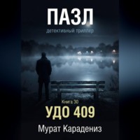 Мурат Карадениз. УДО 409