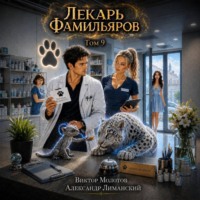 . Лекарь Фамильяров. Том 9