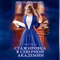 . Стажировка в Северной Академии. Часть 2
