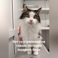 Елена Витоль. Кот со стрелками на глазах: История мудрого Вени