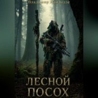 Владимир Пайлодзе. Лесной посох