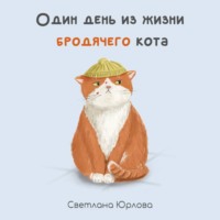 Светлана Юрлова. Один день из жизни бродячего кота