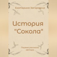 Екатерина Загородних. История 