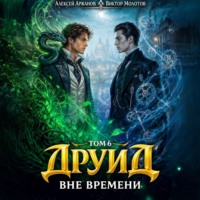 . Друид. Том 6. Вне времени